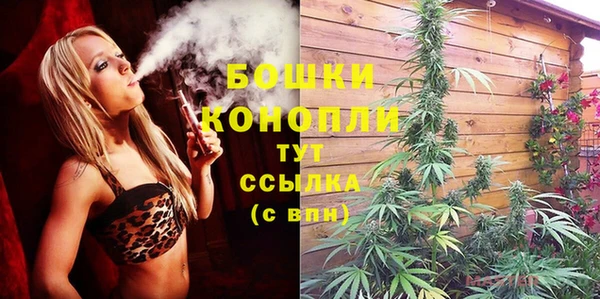 ГАЛЛЮЦИНОГЕННЫЕ ГРИБЫ Бронницы