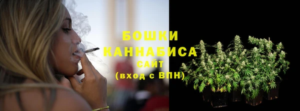 ГАЛЛЮЦИНОГЕННЫЕ ГРИБЫ Бронницы