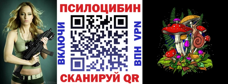 Галлюциногенные грибы Psilocybe Жердевка